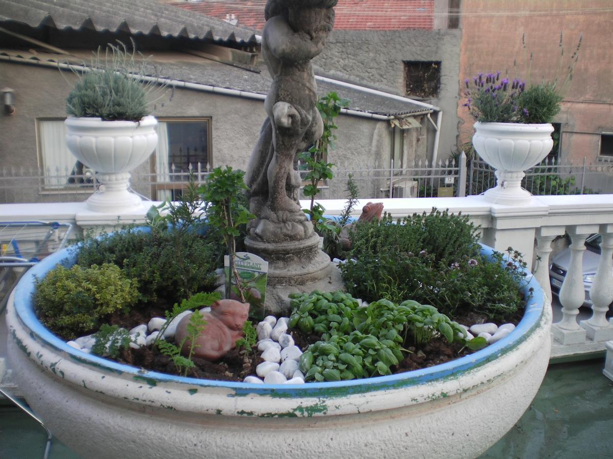 Hotel Piemontese Imperia Exterior foto