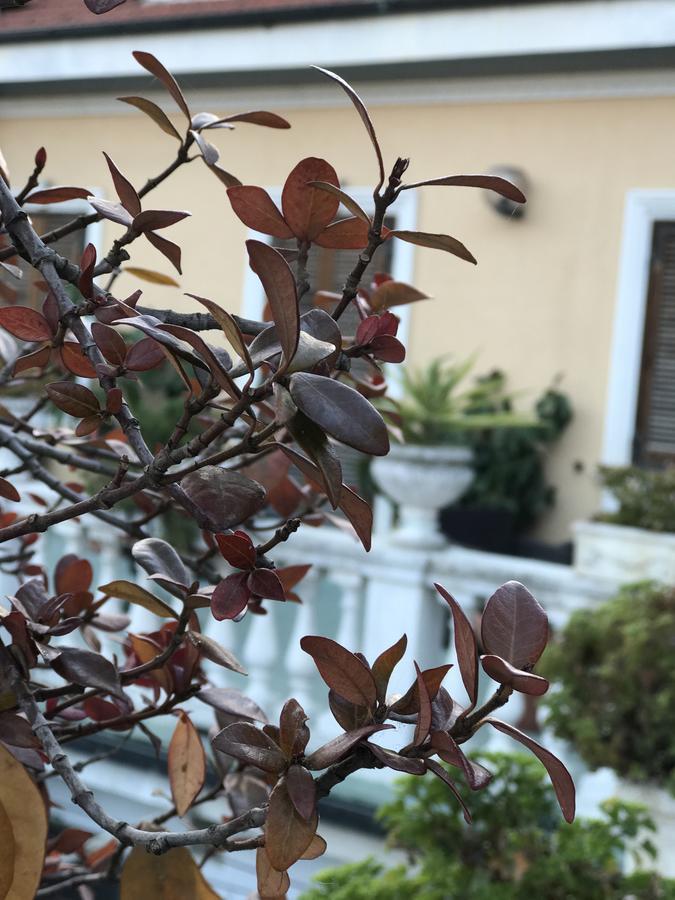 Hotel Piemontese Imperia Exterior foto