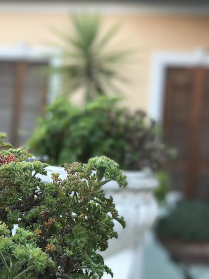 Hotel Piemontese Imperia Exterior foto