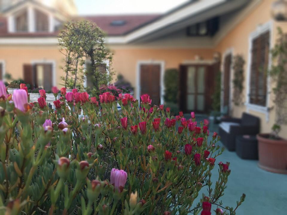 Hotel Piemontese Imperia Exterior foto